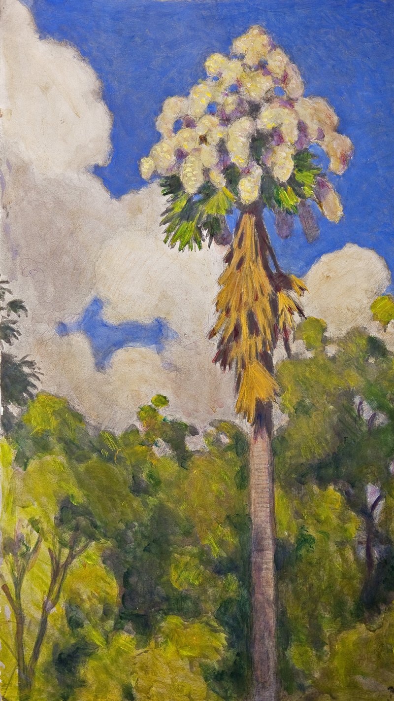 Ватагин В.А. Цветущая пальма в пейзаже. 1960-е. Фототипия.