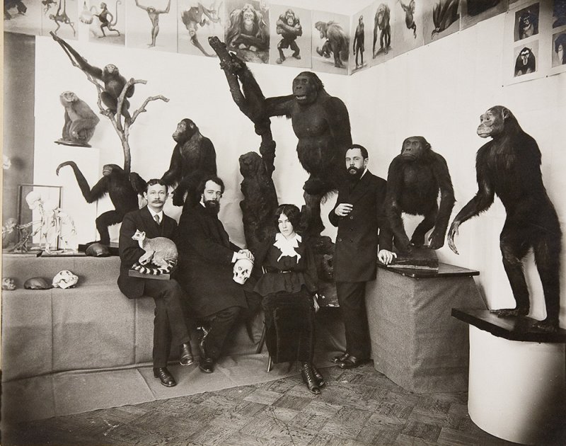 Ф. Е. Федулов, А. Ф. Котс, Н. Н. Ладыгина-Котс и В. А. Ватагин в экспозиции музея. 1912