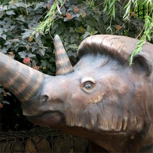 Woolly rhinoceros (Coelodonta antiquitatis)